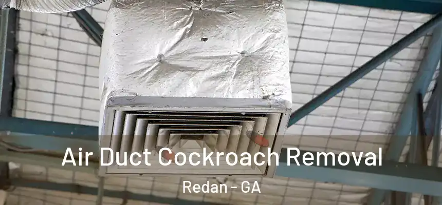  Air Duct Cockroach Removal Redan - GA