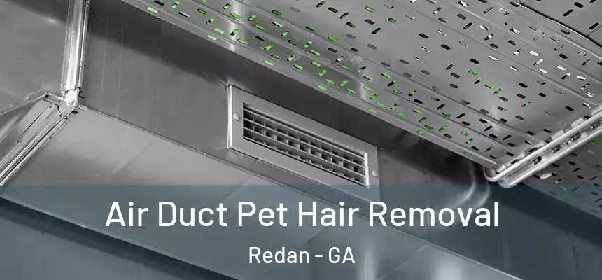  Air Duct Pet Hair Removal Redan - GA