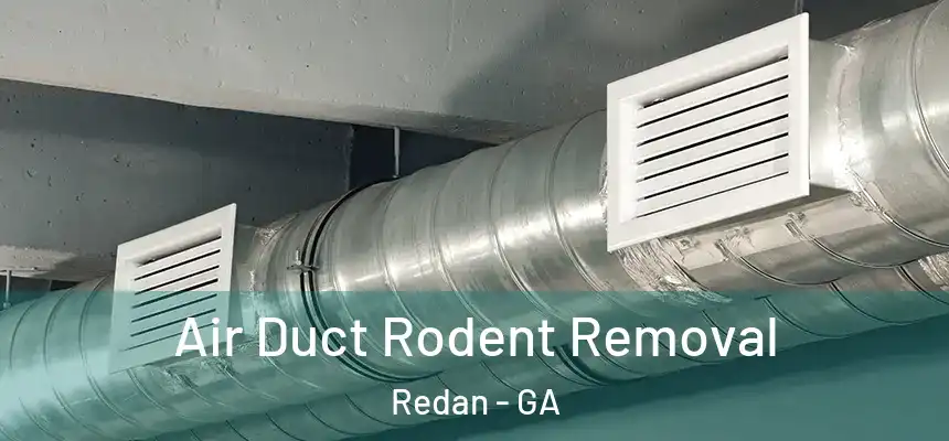  Air Duct Rodent Removal Redan - GA