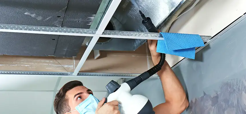 Our Air Duct Rodent Removal Services in Redan, GA