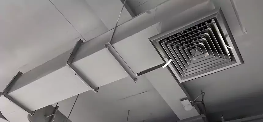 Restorative Allergy Relief Vent Cleaning – Coil, Blower & Housing Detail in Redan