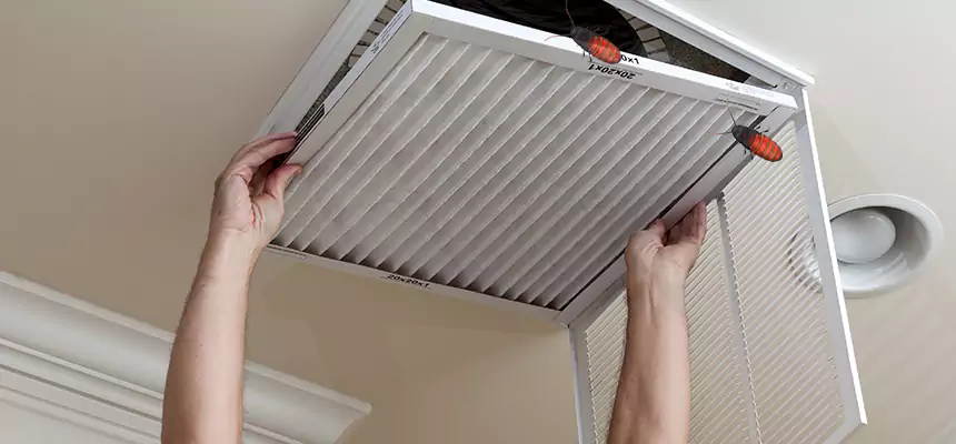 Our Insect Removal from Air Ducts Services in Redan, GA