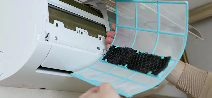 Gentle Ductwork Odor-Control Pet Dander Duct Cleaning in Redan, GA