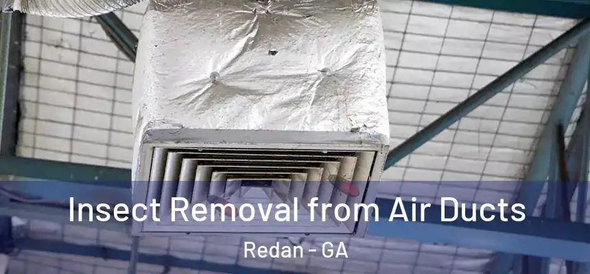  Insect Removal from Air Ducts Redan - GA