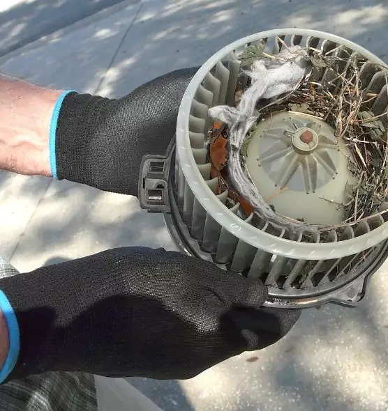 About Air Duct Mice Removal in Redan, GA