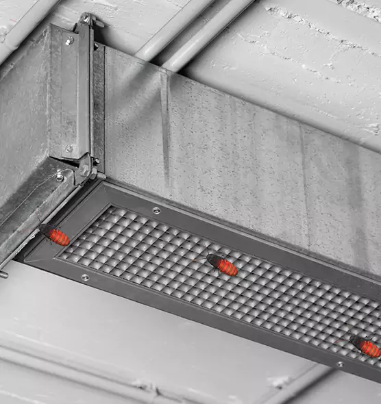 Affordable Insect Removal from Air Ducts in Redan, GA