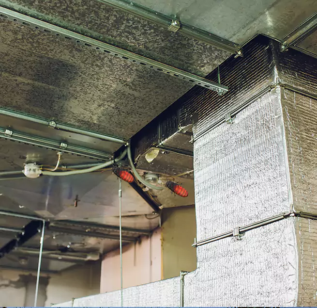 Why Homeowners & Businesses Trust Us in Redan, GA?