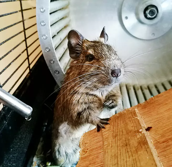 Why Homeowners & Businesses Trust Us Redan, GA