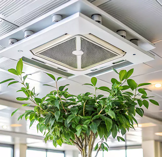 Why Homeowners & Businesses Trust Us in Redan, GA?